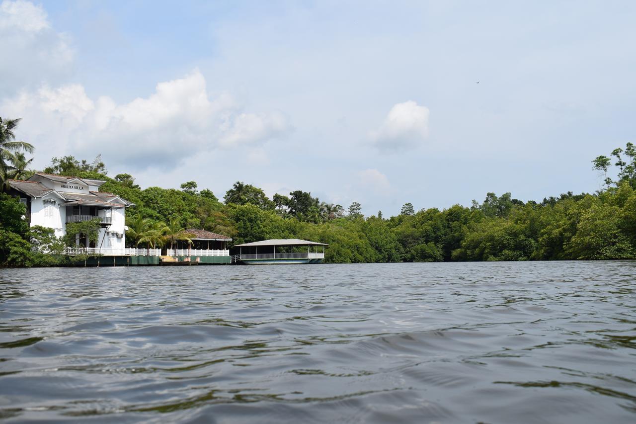 Hotel Araliya Villa 巴勒皮蒂耶 外观 照片